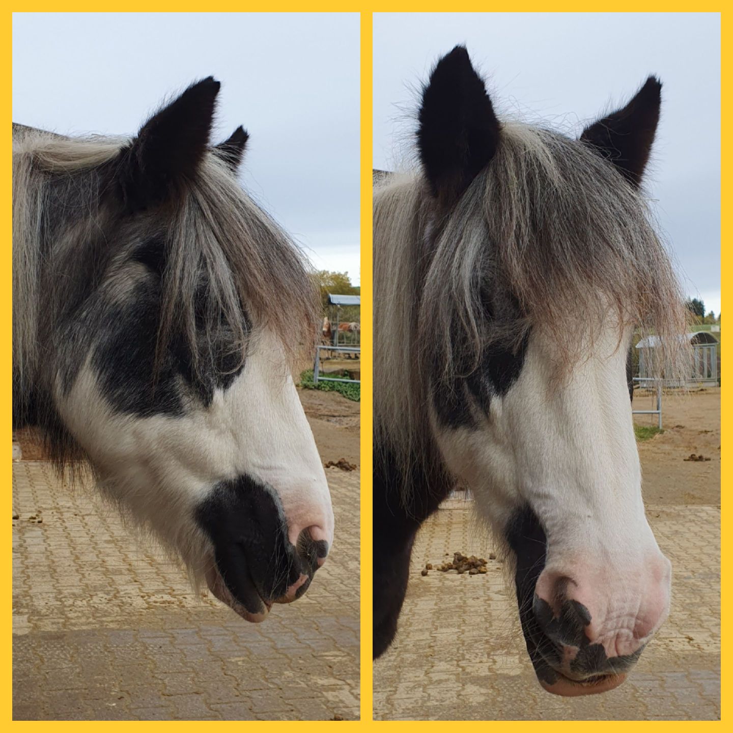 2023 11 November 584